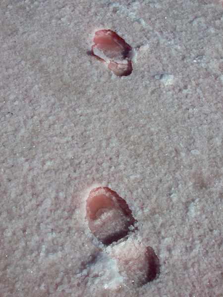 Footprints